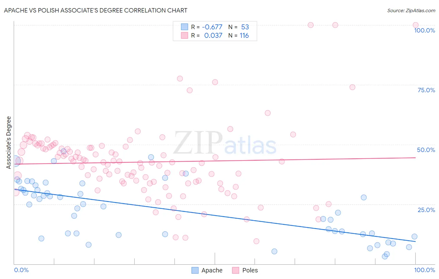 Apache vs Polish Associate's Degree