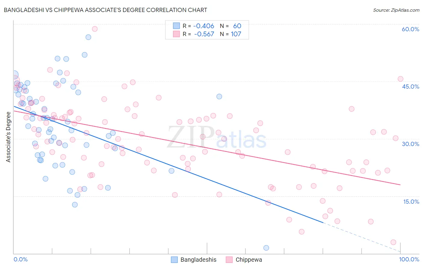 Bangladeshi vs Chippewa Associate's Degree