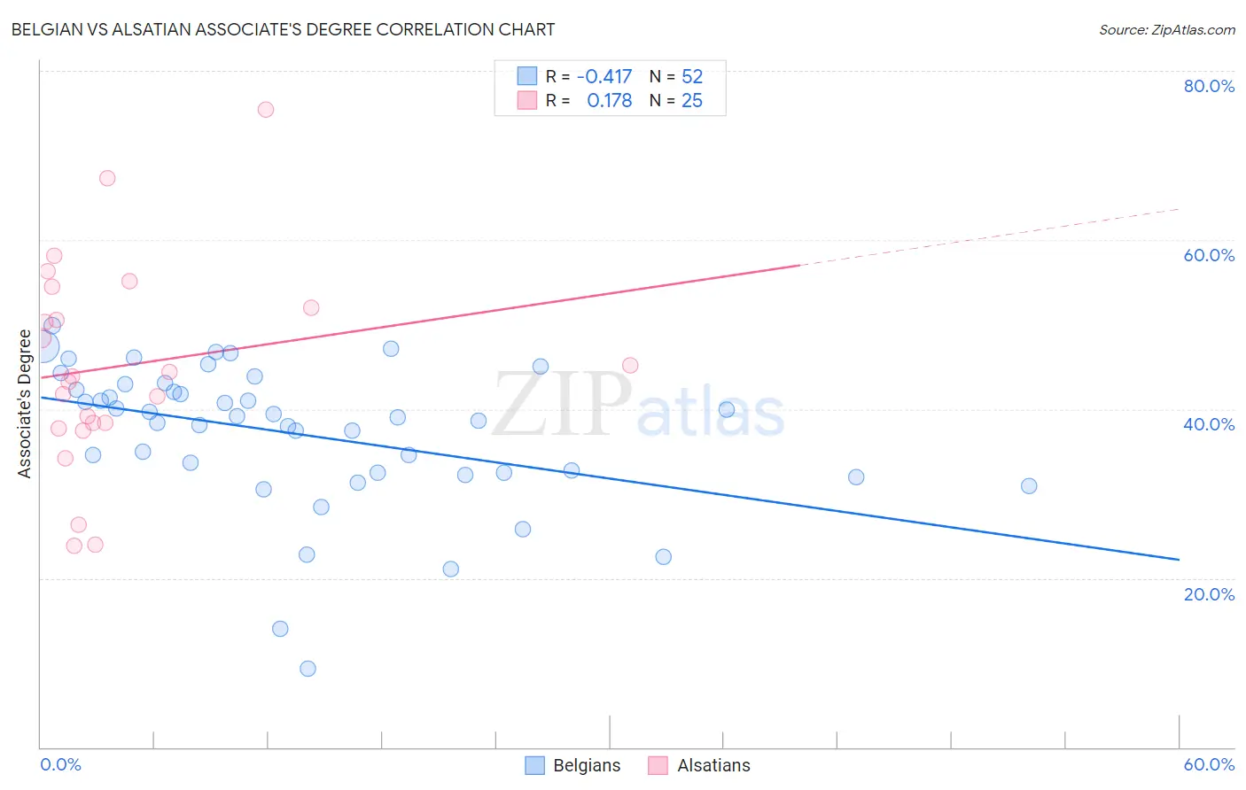 Belgian vs Alsatian Associate's Degree