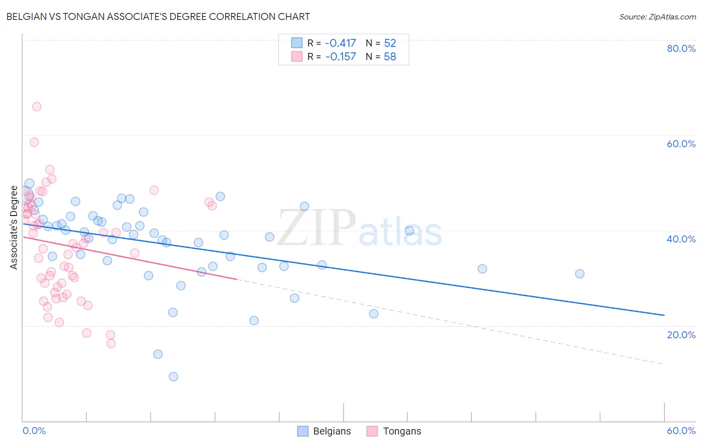 Belgian vs Tongan Associate's Degree