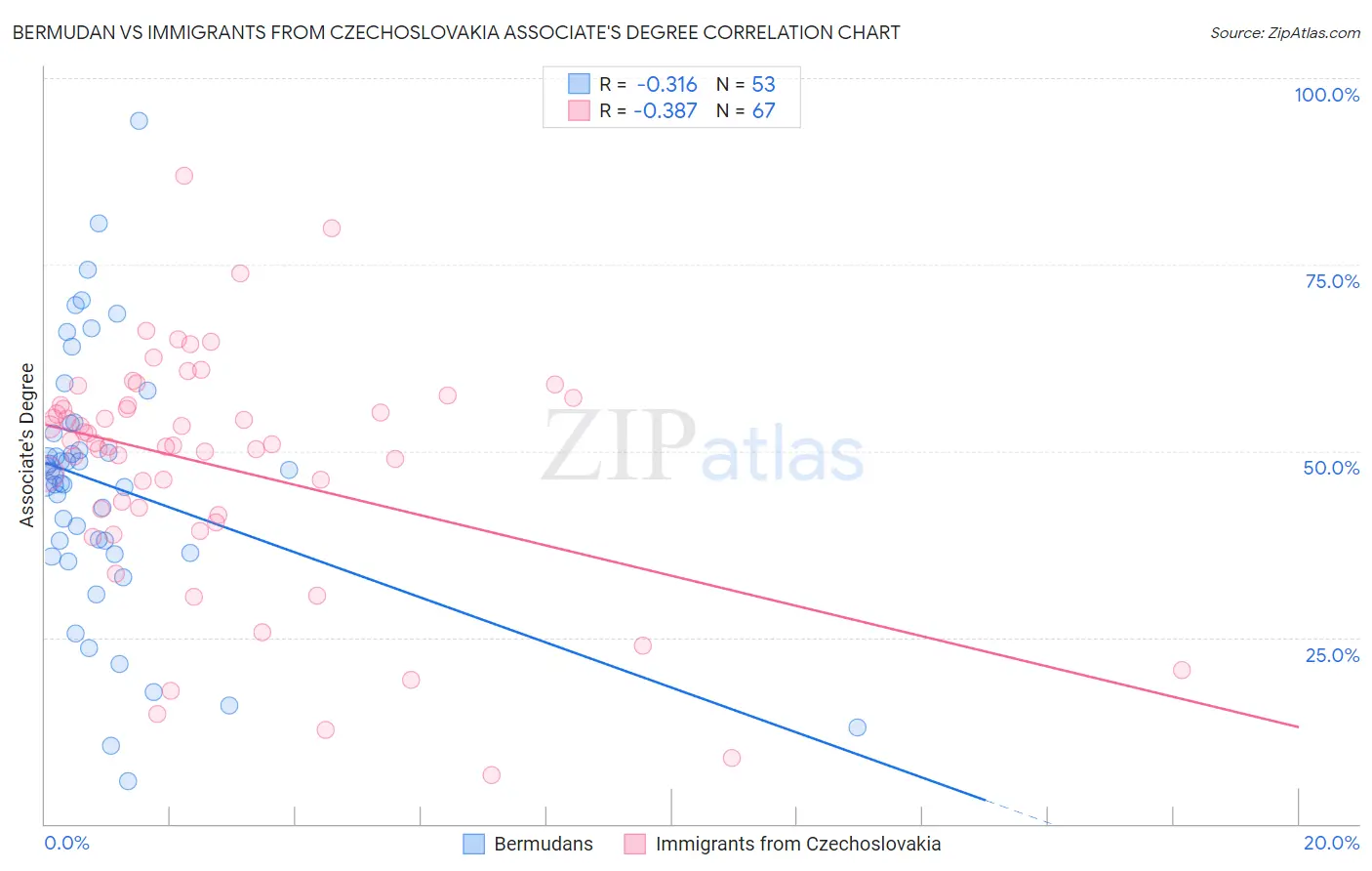 Bermudan vs Immigrants from Czechoslovakia Associate's Degree