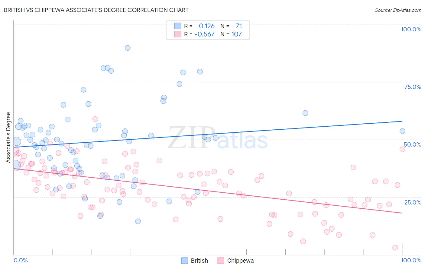 British vs Chippewa Associate's Degree