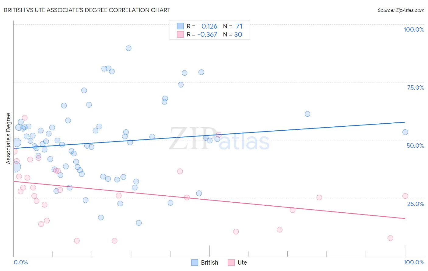 British vs Ute Associate's Degree