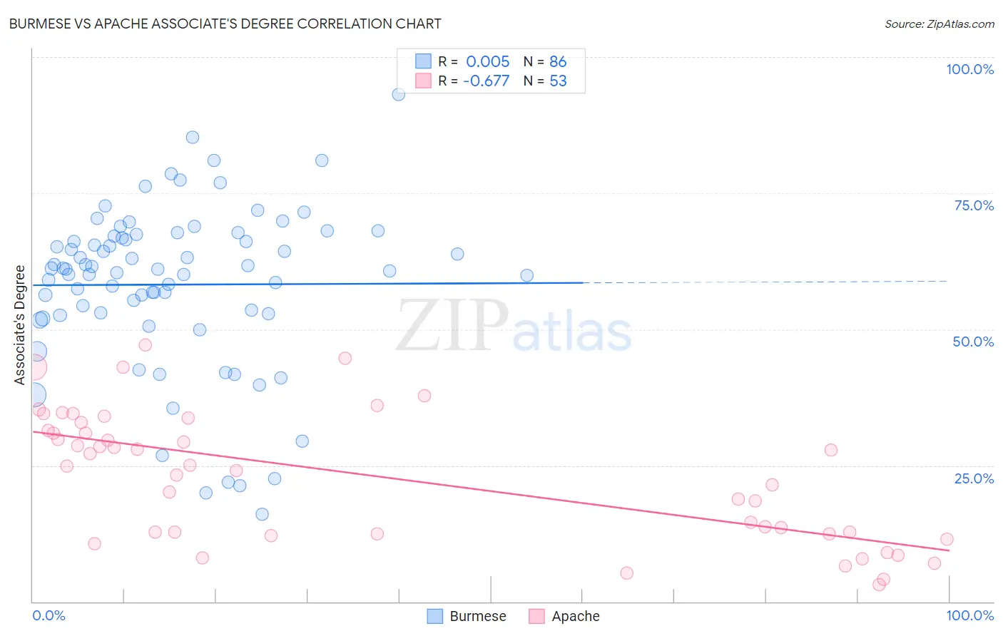 Burmese vs Apache Associate's Degree