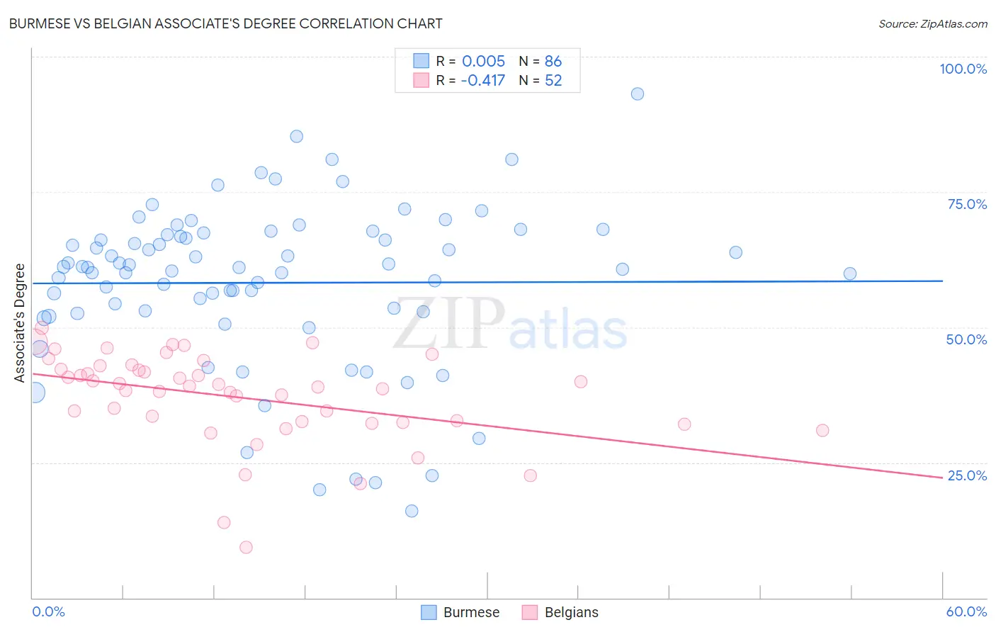 Burmese vs Belgian Associate's Degree