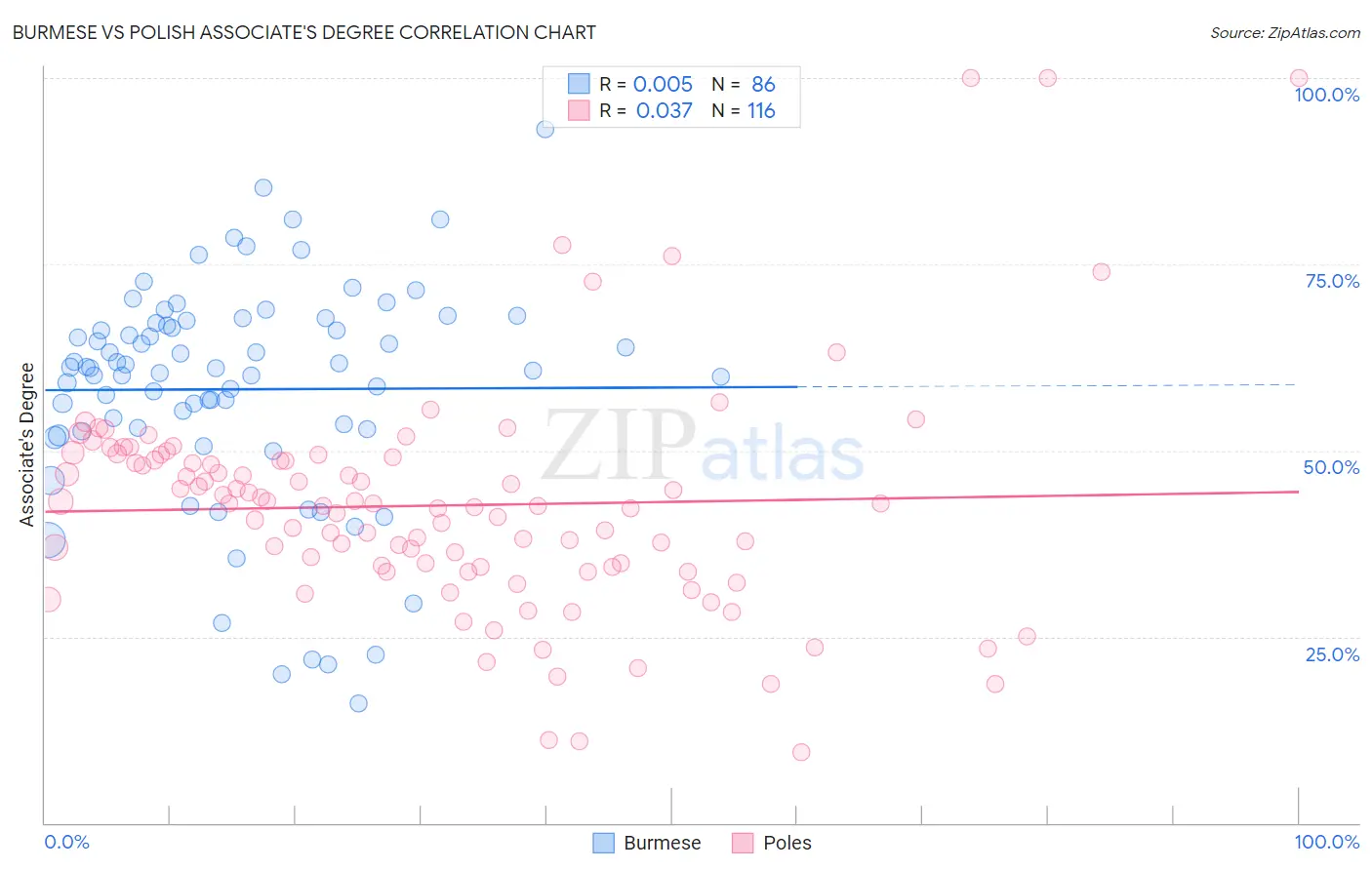 Burmese vs Polish Associate's Degree