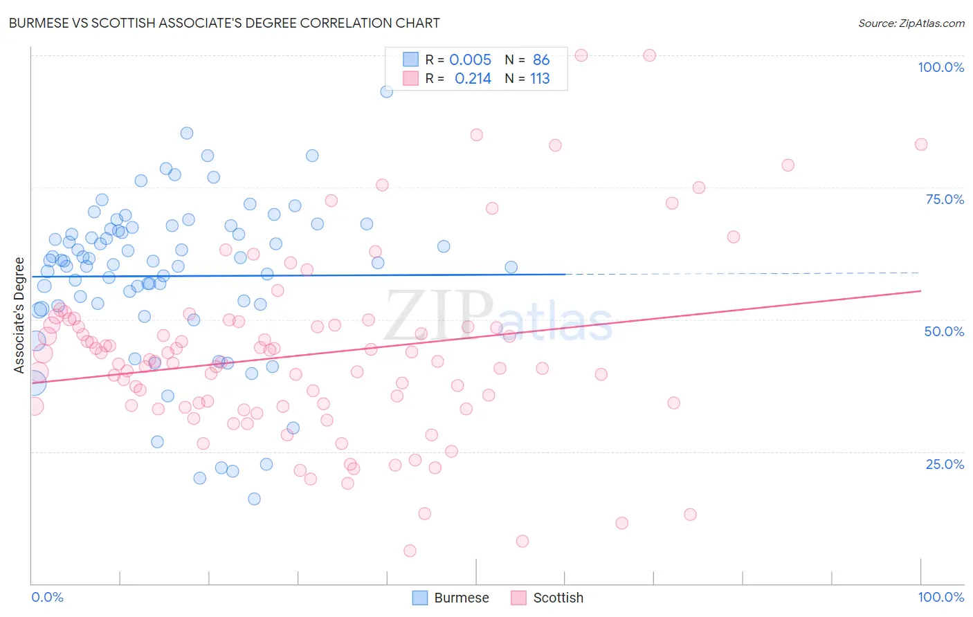 Burmese vs Scottish Associate's Degree