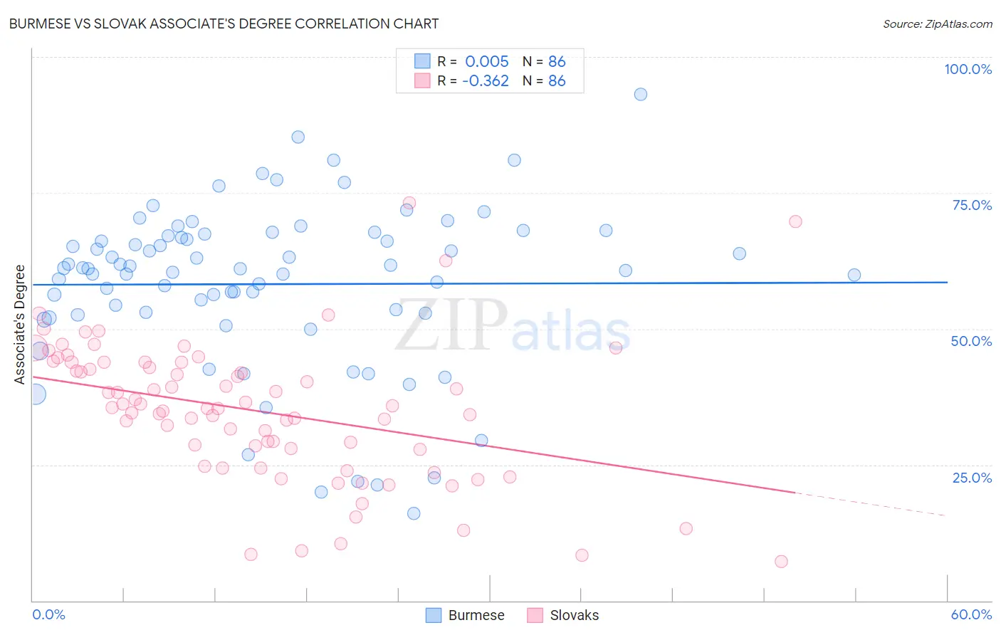 Burmese vs Slovak Associate's Degree