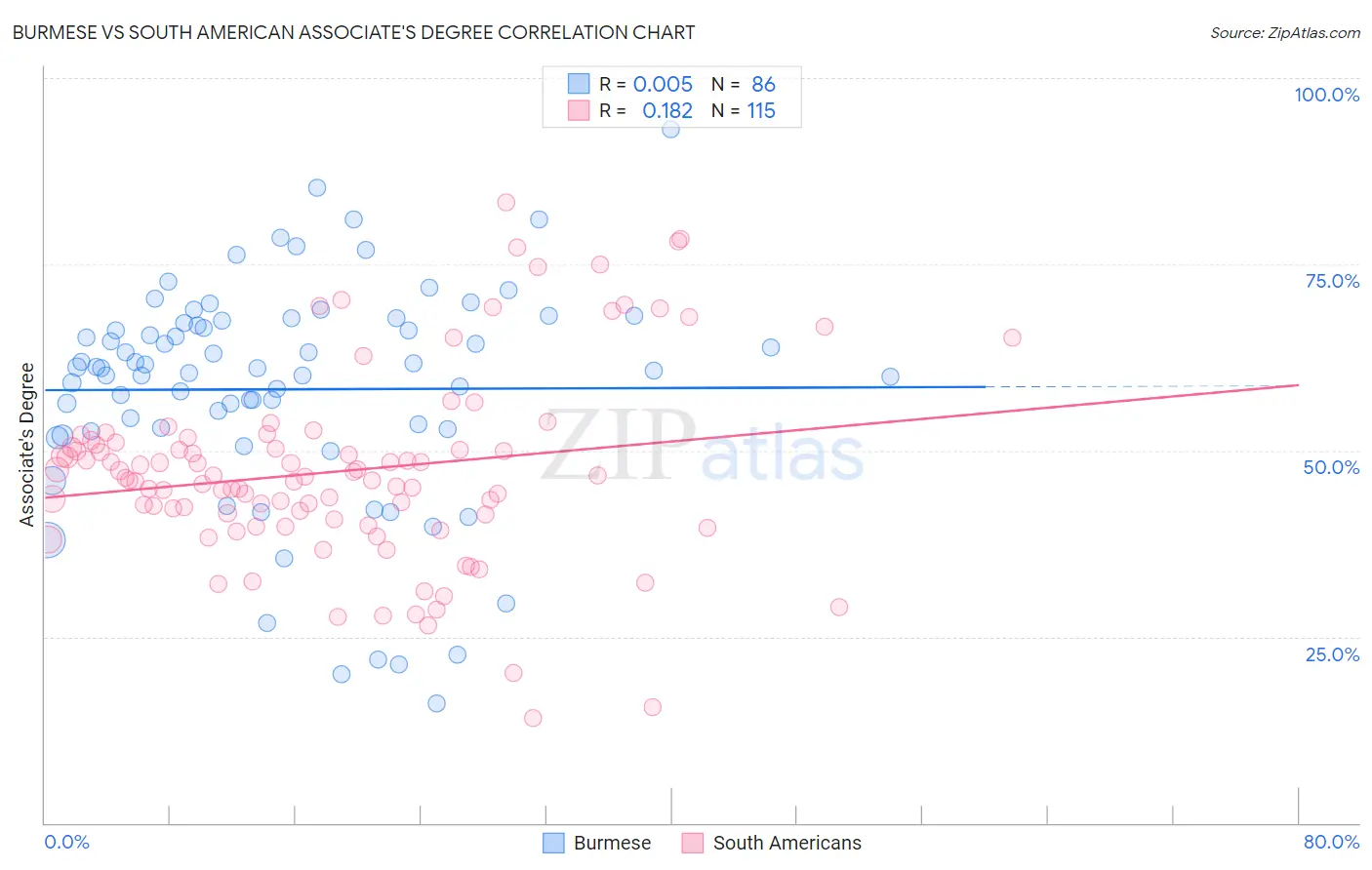 Burmese vs South American Associate's Degree