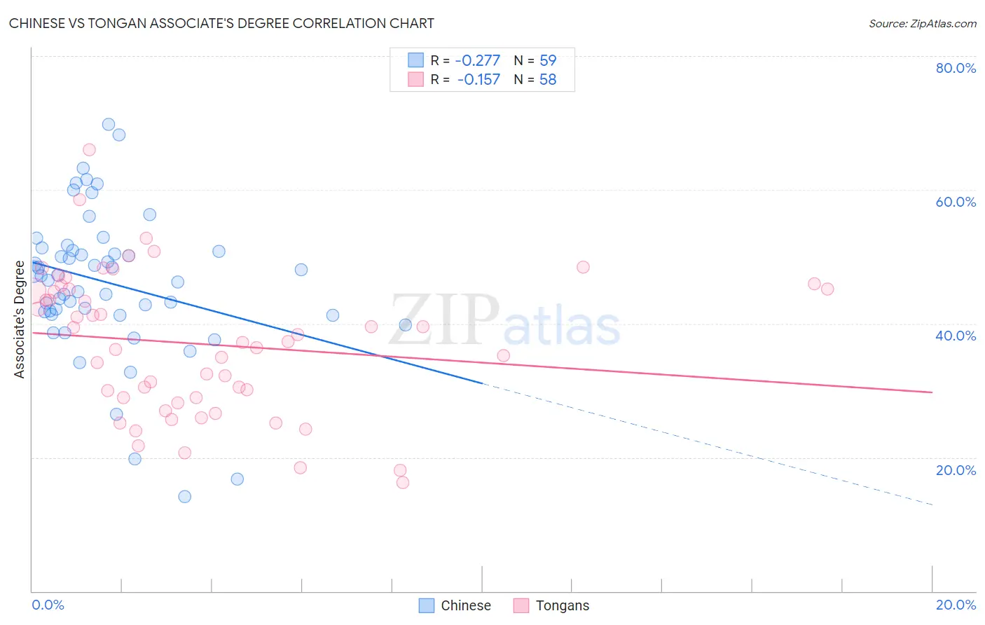 Chinese vs Tongan Associate's Degree
