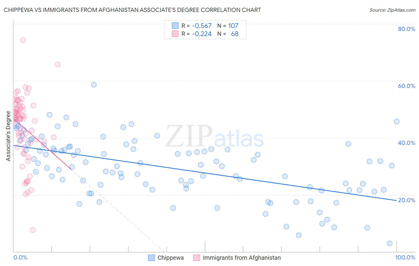 Chippewa vs Immigrants from Afghanistan Associate's Degree