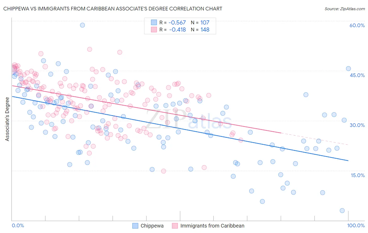 Chippewa vs Immigrants from Caribbean Associate's Degree