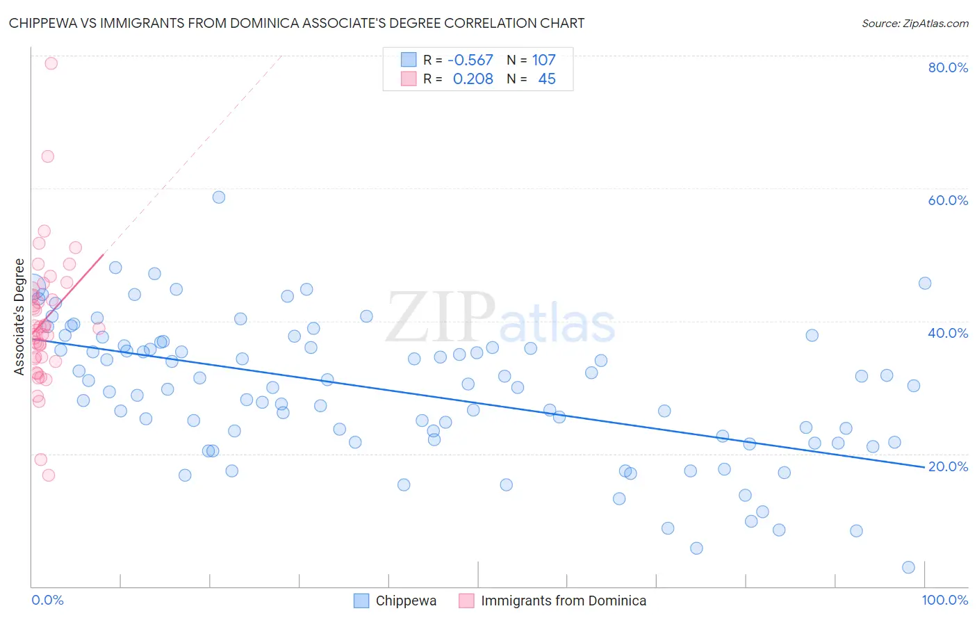 Chippewa vs Immigrants from Dominica Associate's Degree