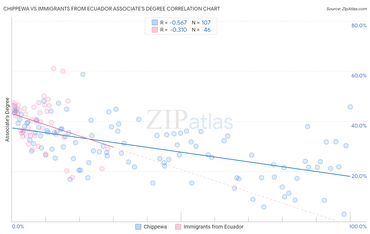 Chippewa vs Immigrants from Ecuador Associate's Degree