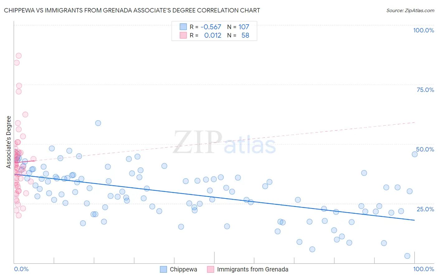 Chippewa vs Immigrants from Grenada Associate's Degree