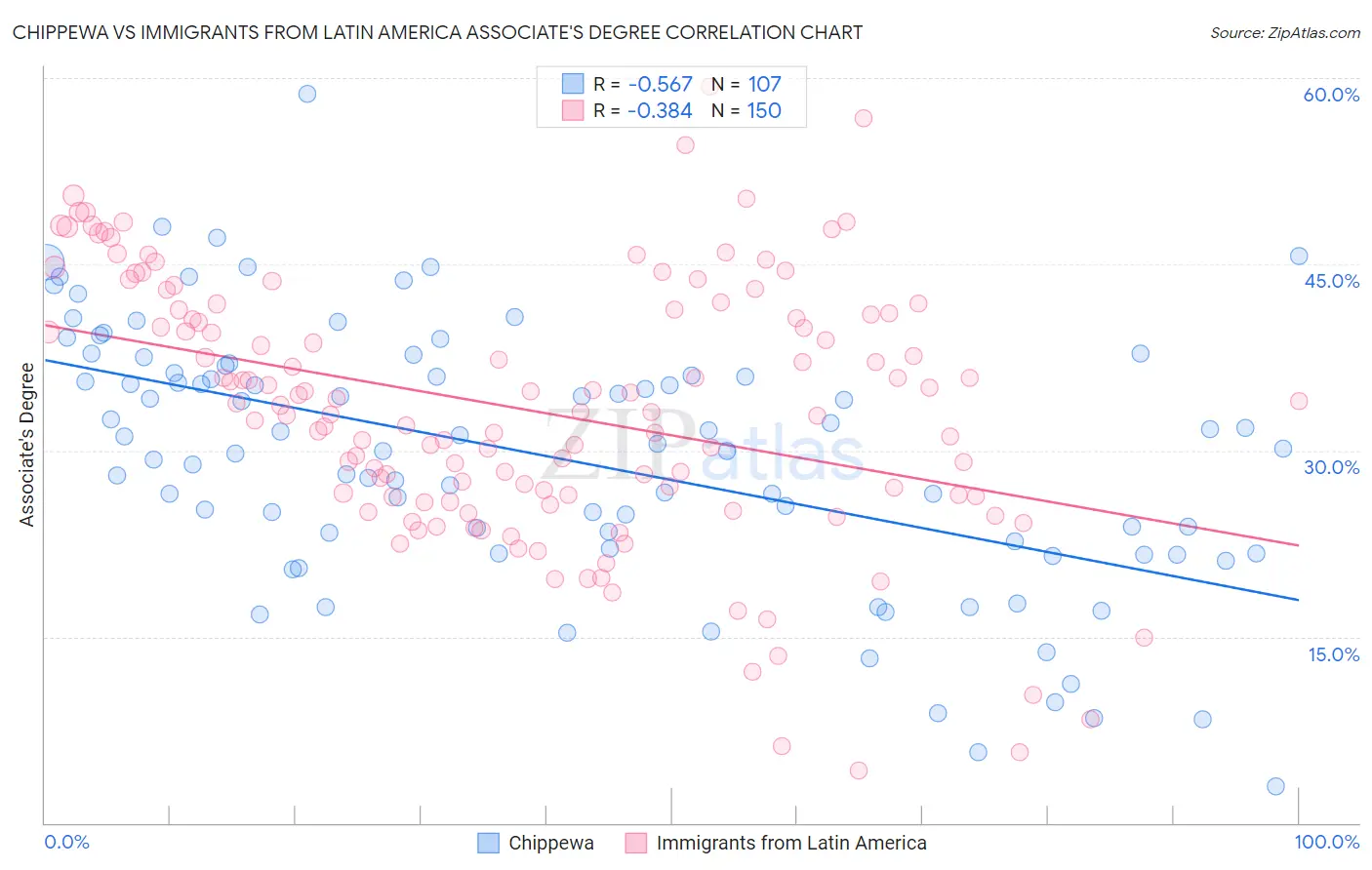 Chippewa vs Immigrants from Latin America Associate's Degree