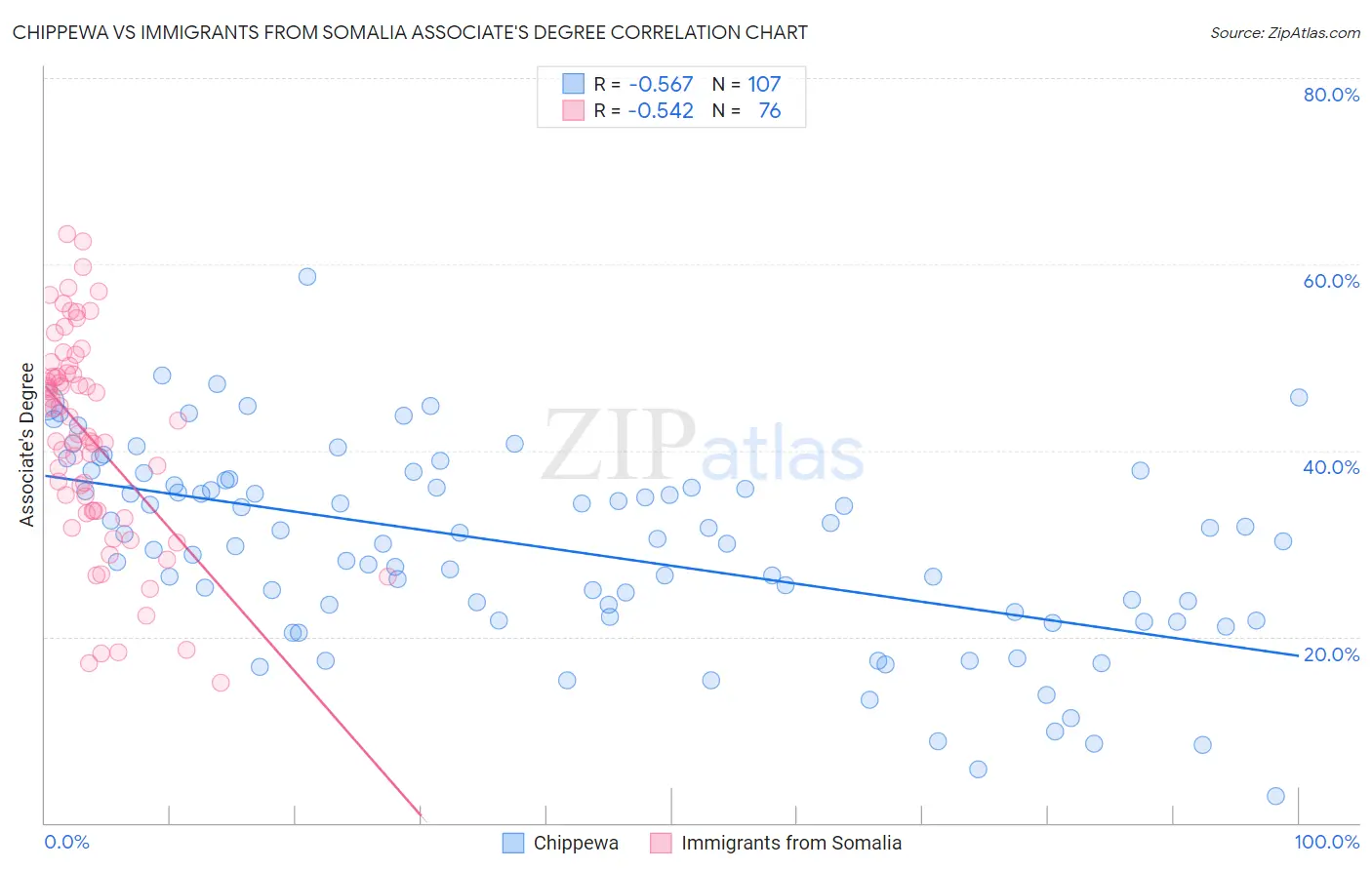 Chippewa vs Immigrants from Somalia Associate's Degree