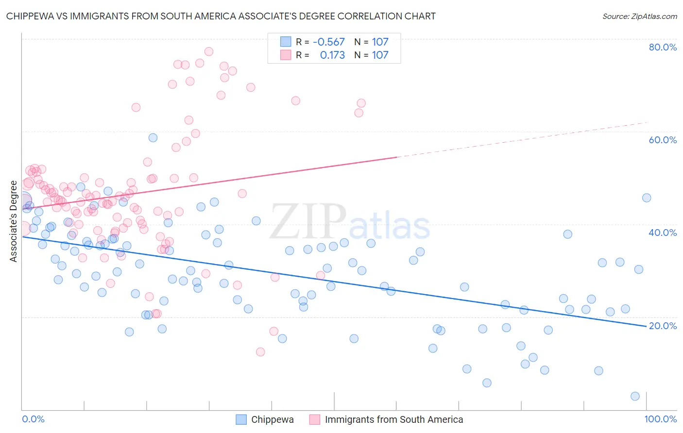 Chippewa vs Immigrants from South America Associate's Degree