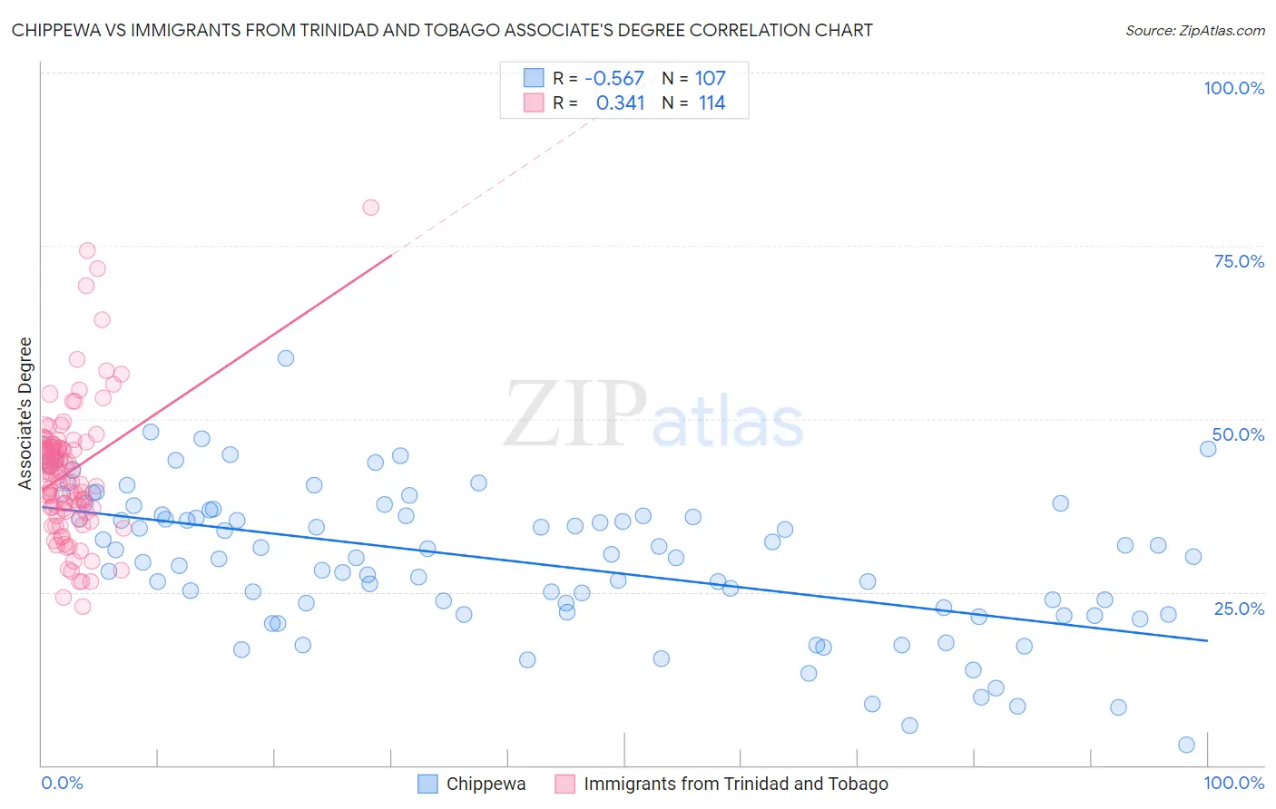 Chippewa vs Immigrants from Trinidad and Tobago Associate's Degree