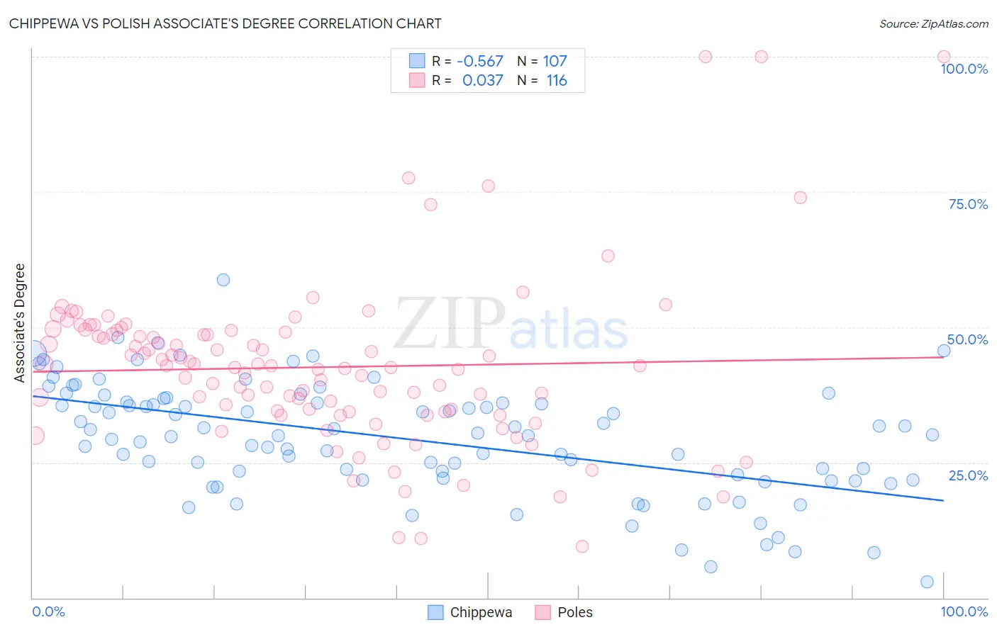 Chippewa vs Polish Associate's Degree