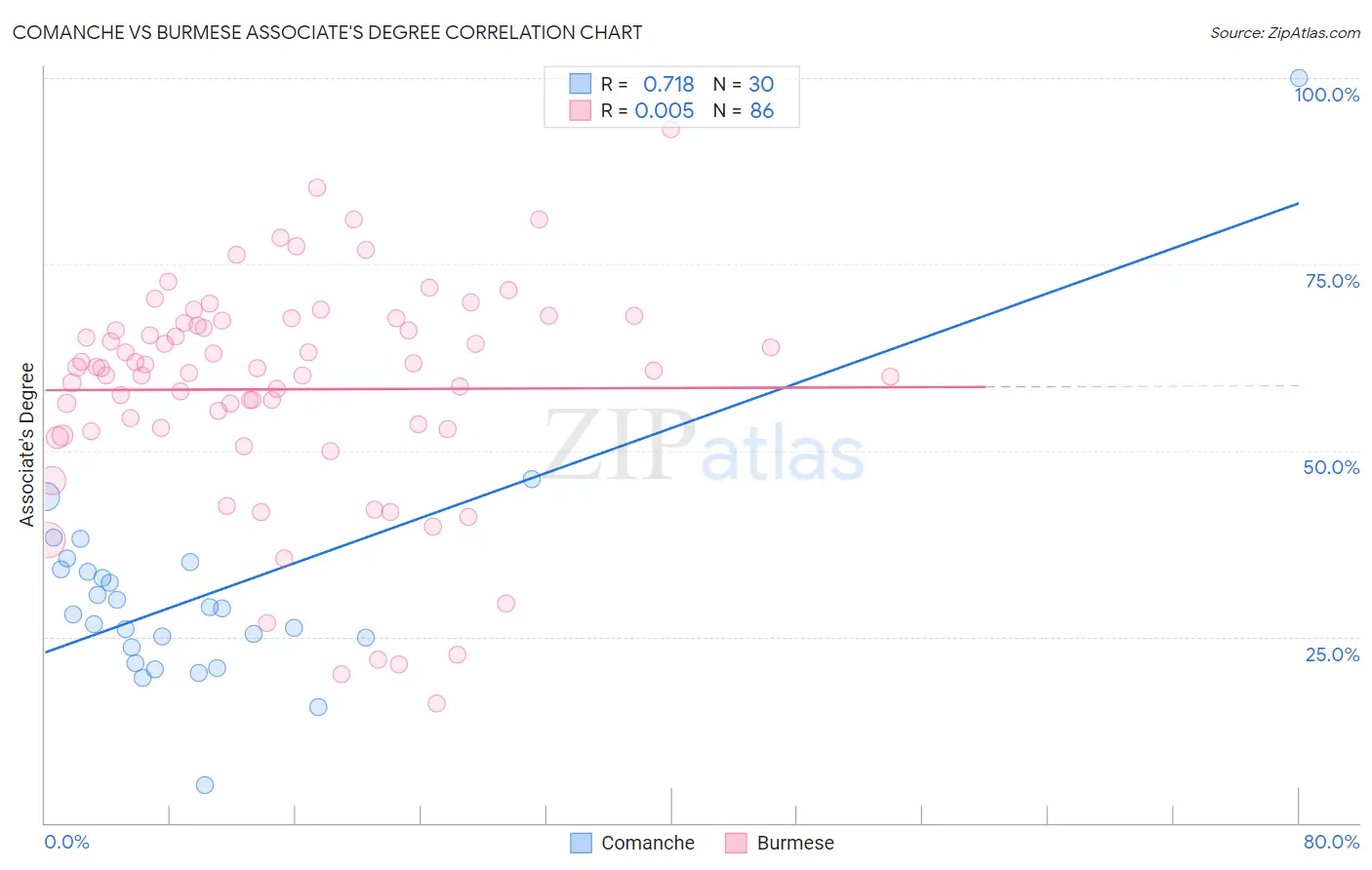 Comanche vs Burmese Associate's Degree