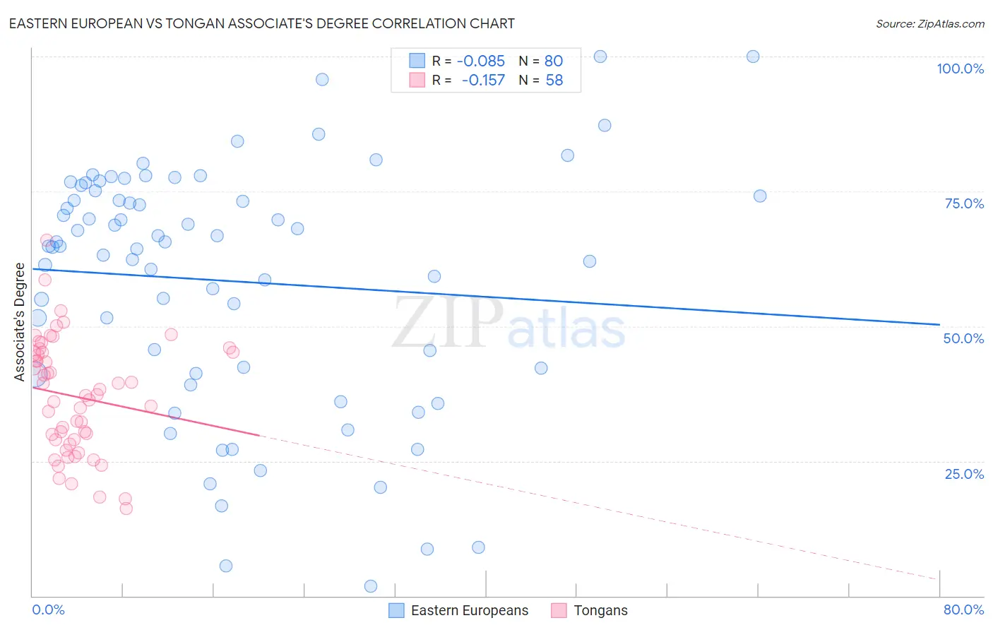 Eastern European vs Tongan Associate's Degree
