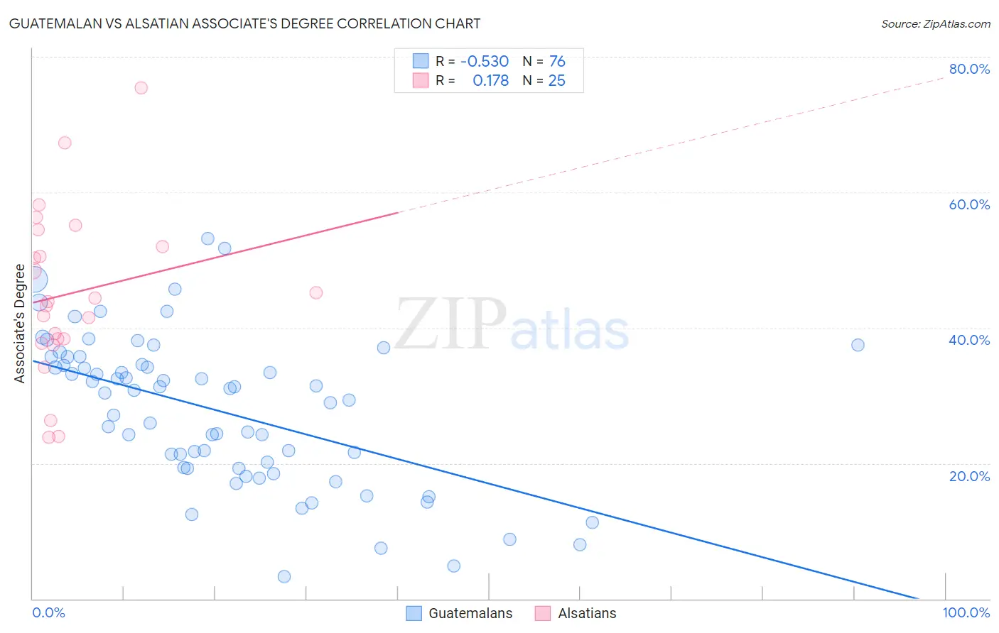 Guatemalan vs Alsatian Associate's Degree
