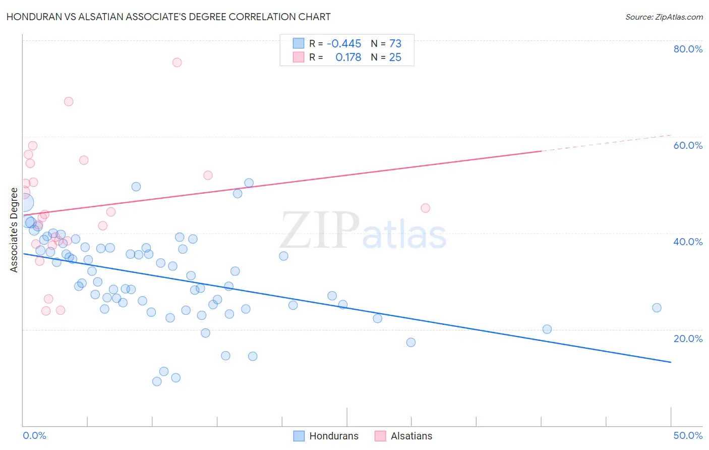 Honduran vs Alsatian Associate's Degree