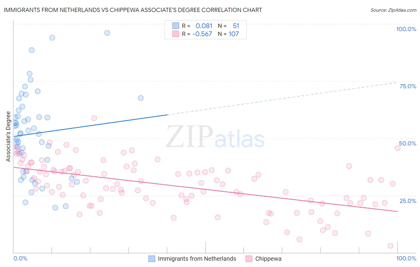 Immigrants from Netherlands vs Chippewa Associate's Degree