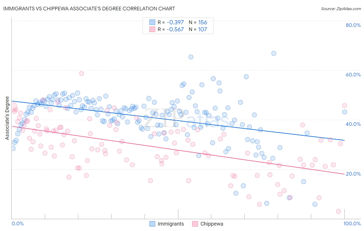 Immigrants vs Chippewa Associate's Degree