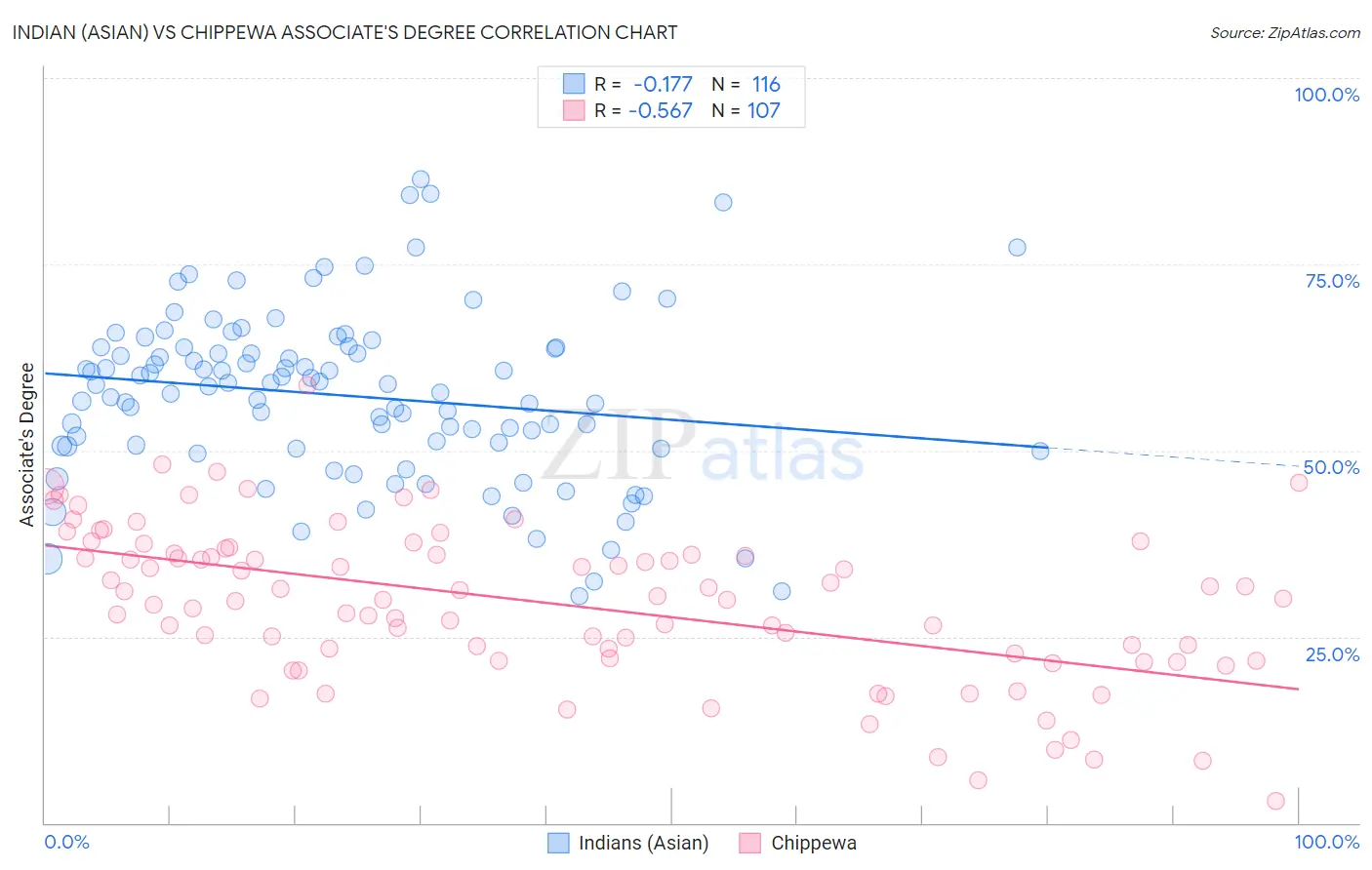 Indian (Asian) vs Chippewa Associate's Degree