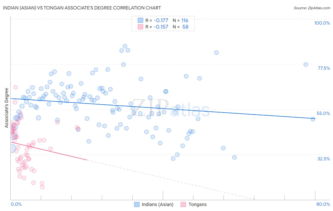 Indian (Asian) vs Tongan Associate's Degree