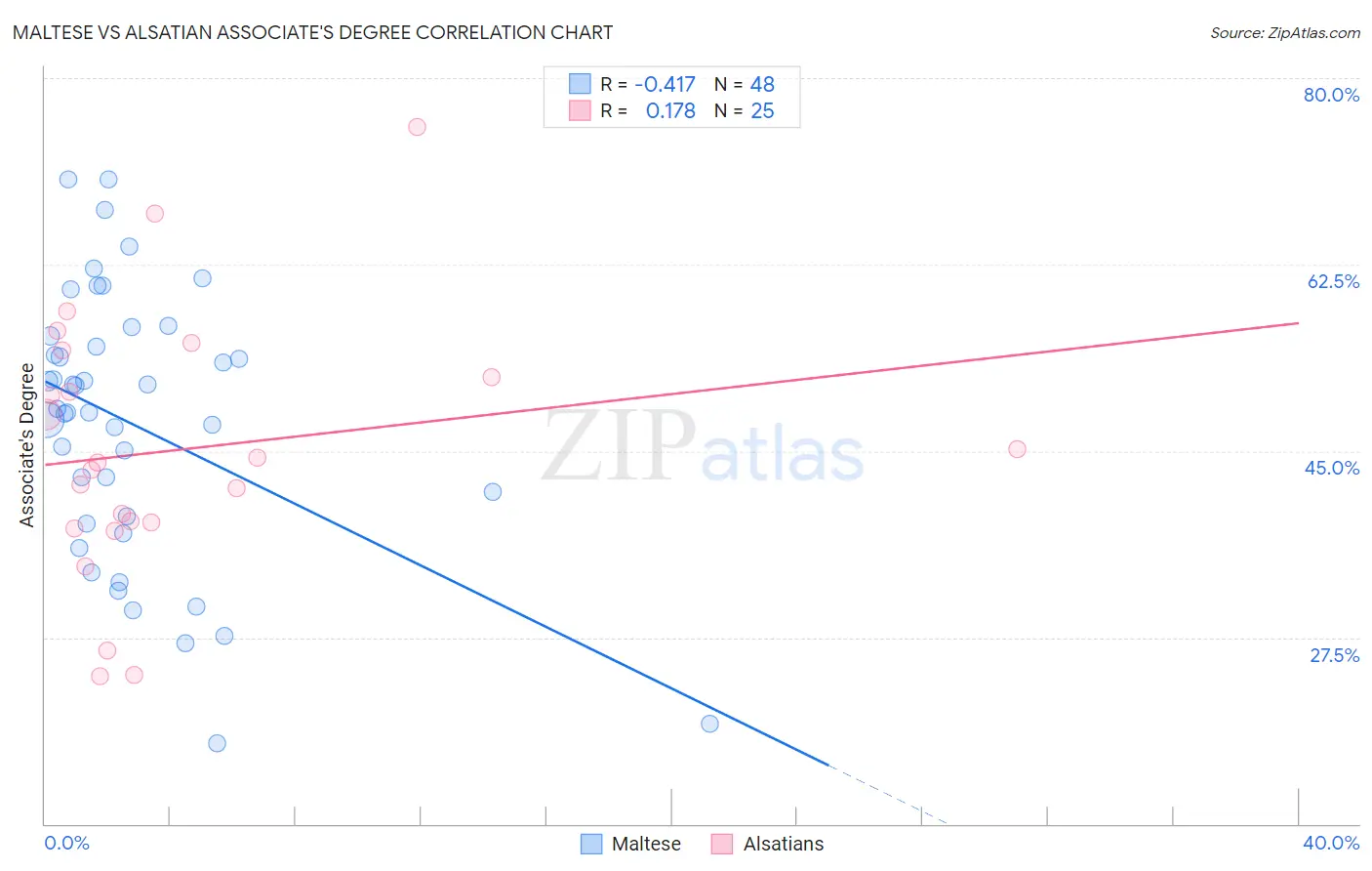 Maltese vs Alsatian Associate's Degree