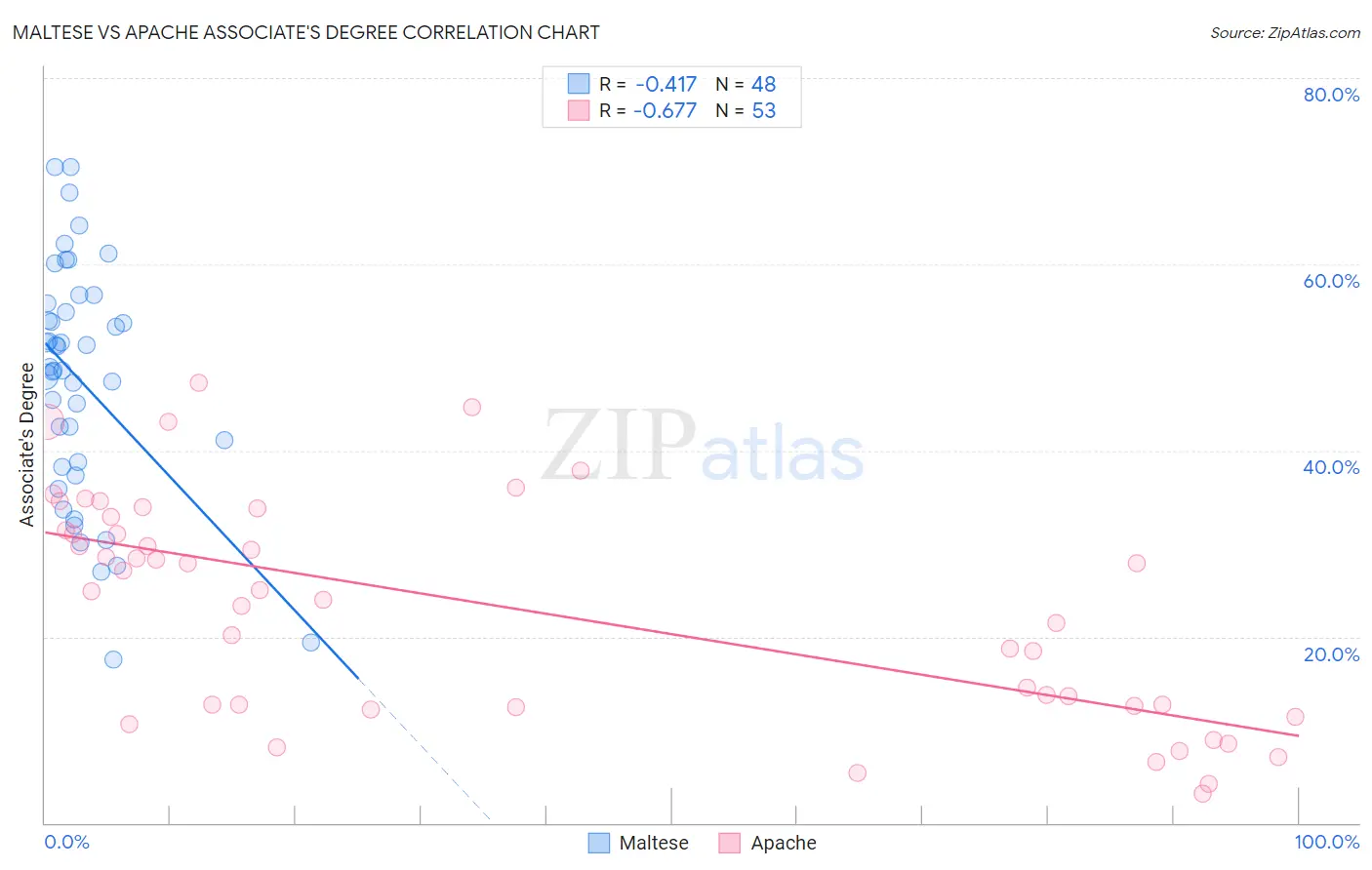 Maltese vs Apache Associate's Degree