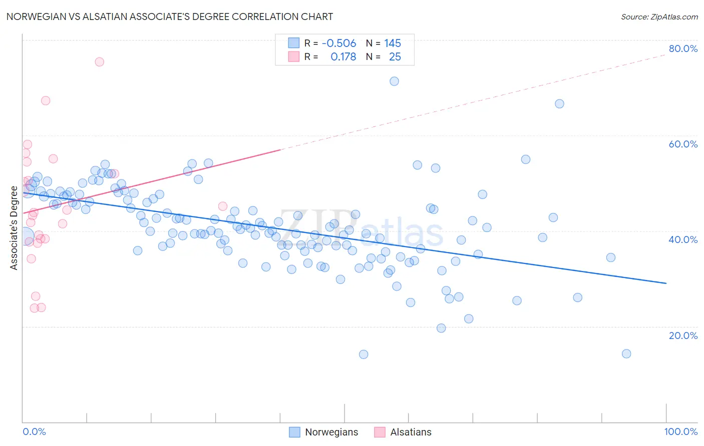 Norwegian vs Alsatian Associate's Degree