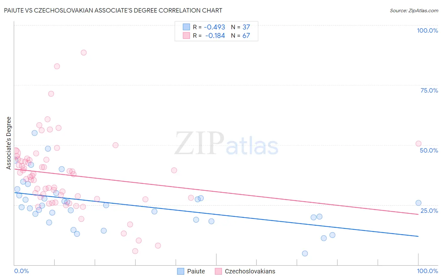 Paiute vs Czechoslovakian Associate's Degree