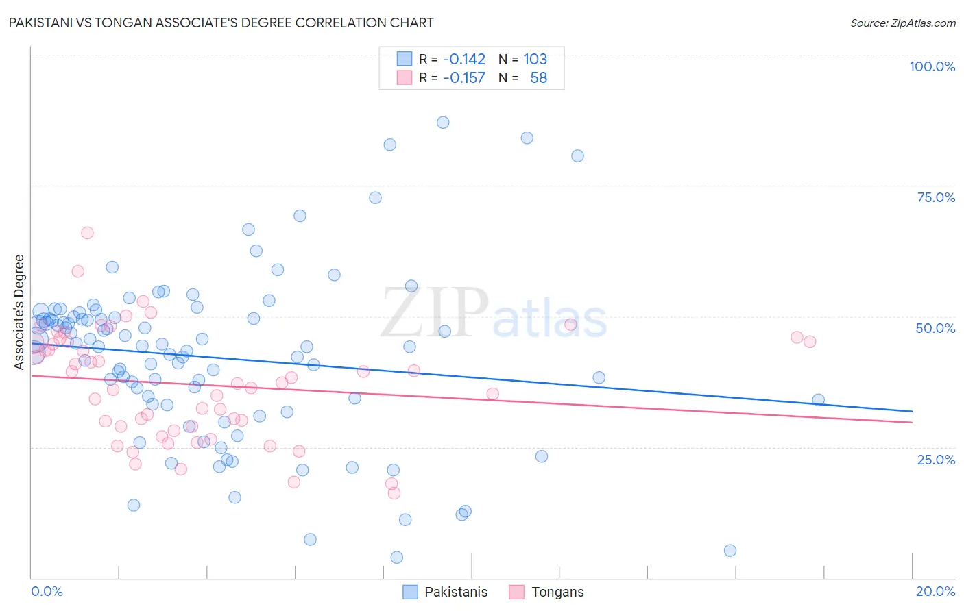 Pakistani vs Tongan Associate's Degree