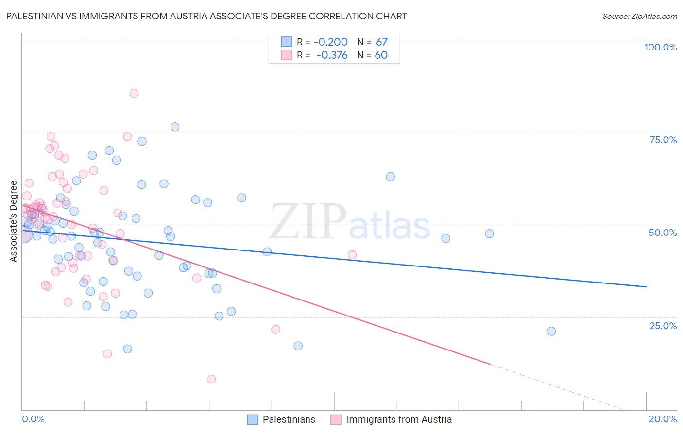 Palestinian vs Immigrants from Austria Associate's Degree