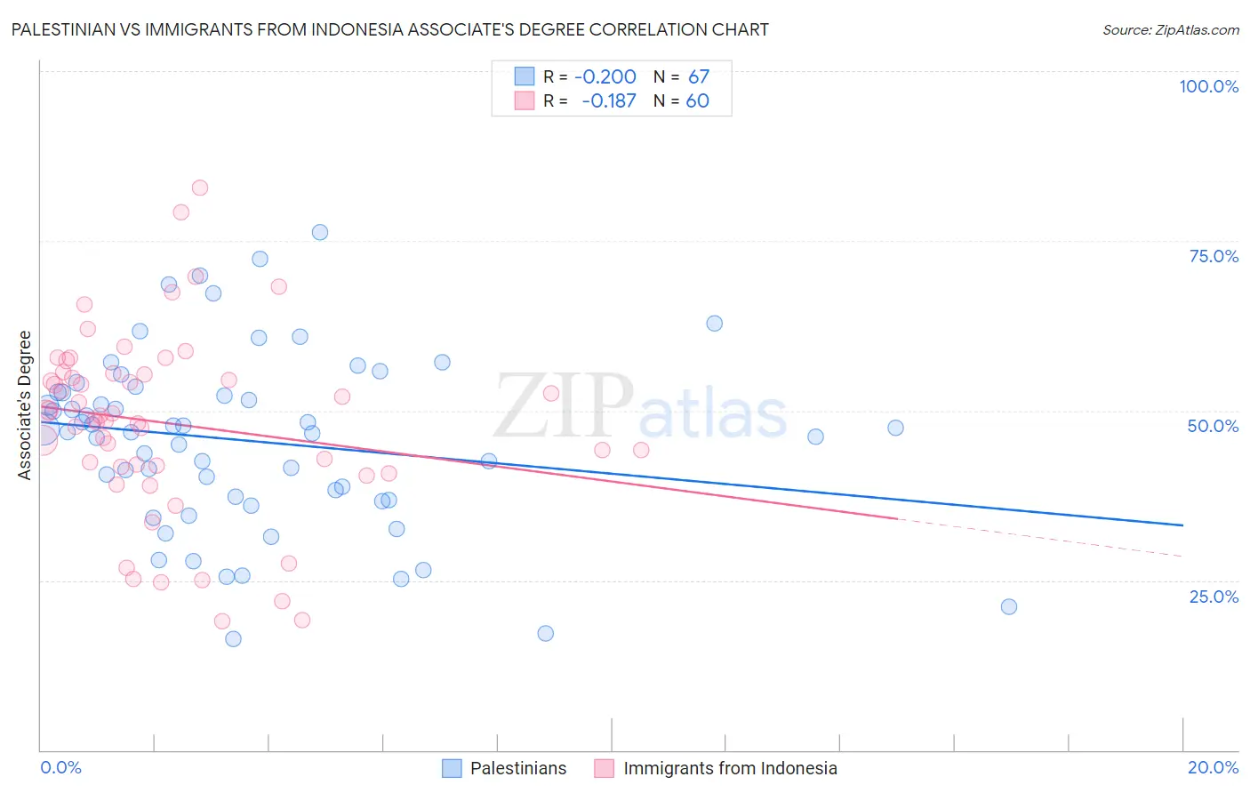 Palestinian vs Immigrants from Indonesia Associate's Degree