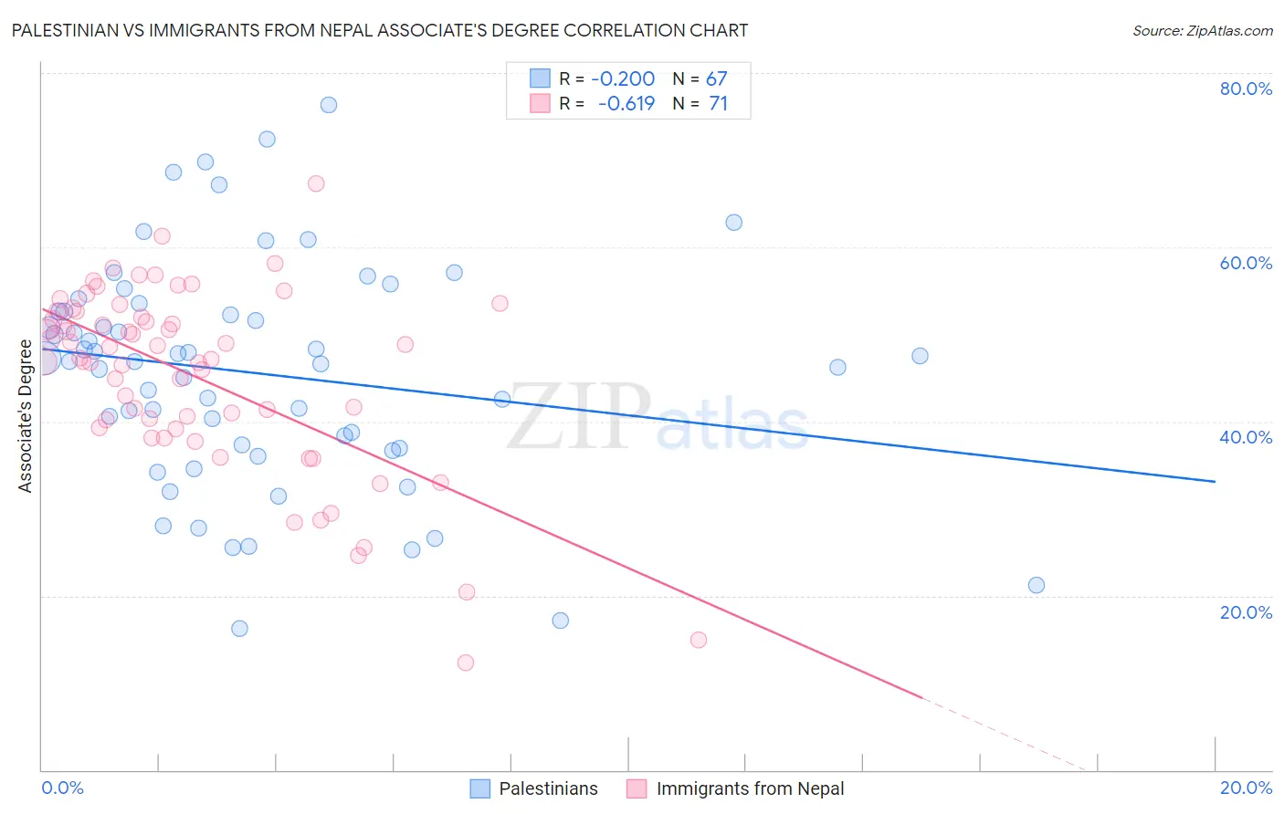 Palestinian vs Immigrants from Nepal Associate's Degree