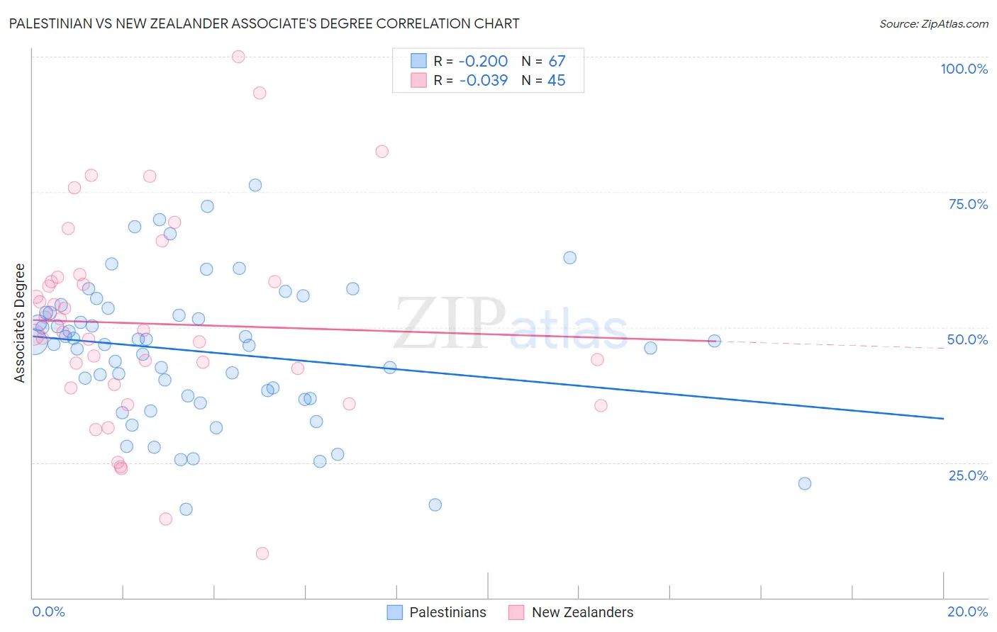 Palestinian vs New Zealander Associate's Degree