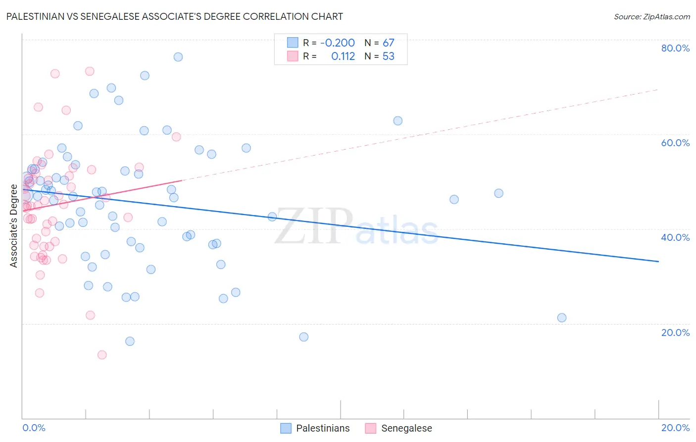 Palestinian vs Senegalese Associate's Degree