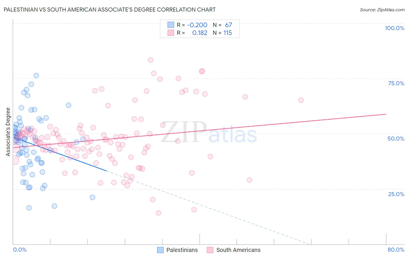 Palestinian vs South American Associate's Degree