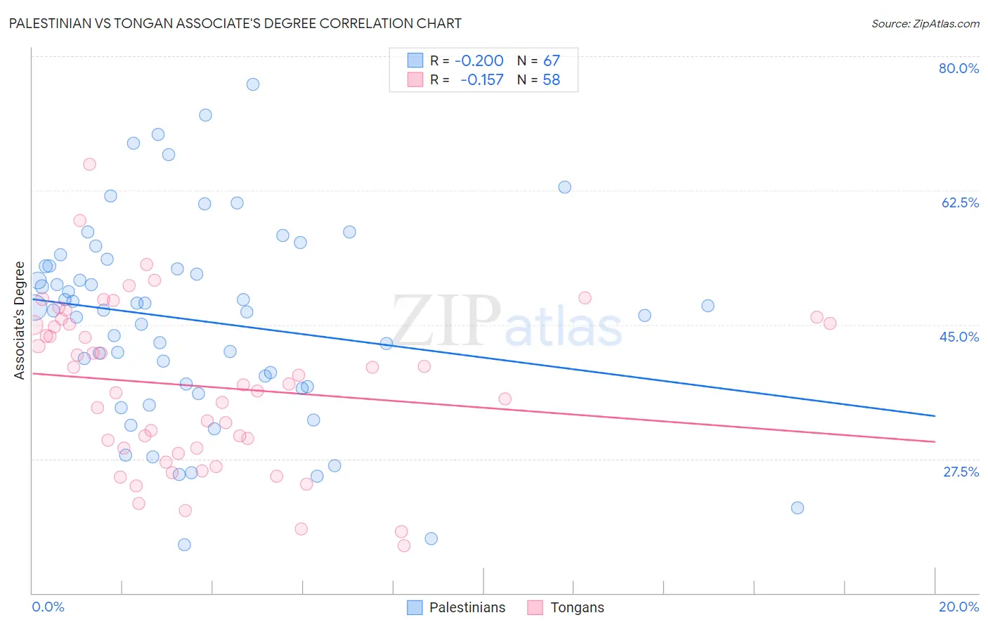 Palestinian vs Tongan Associate's Degree