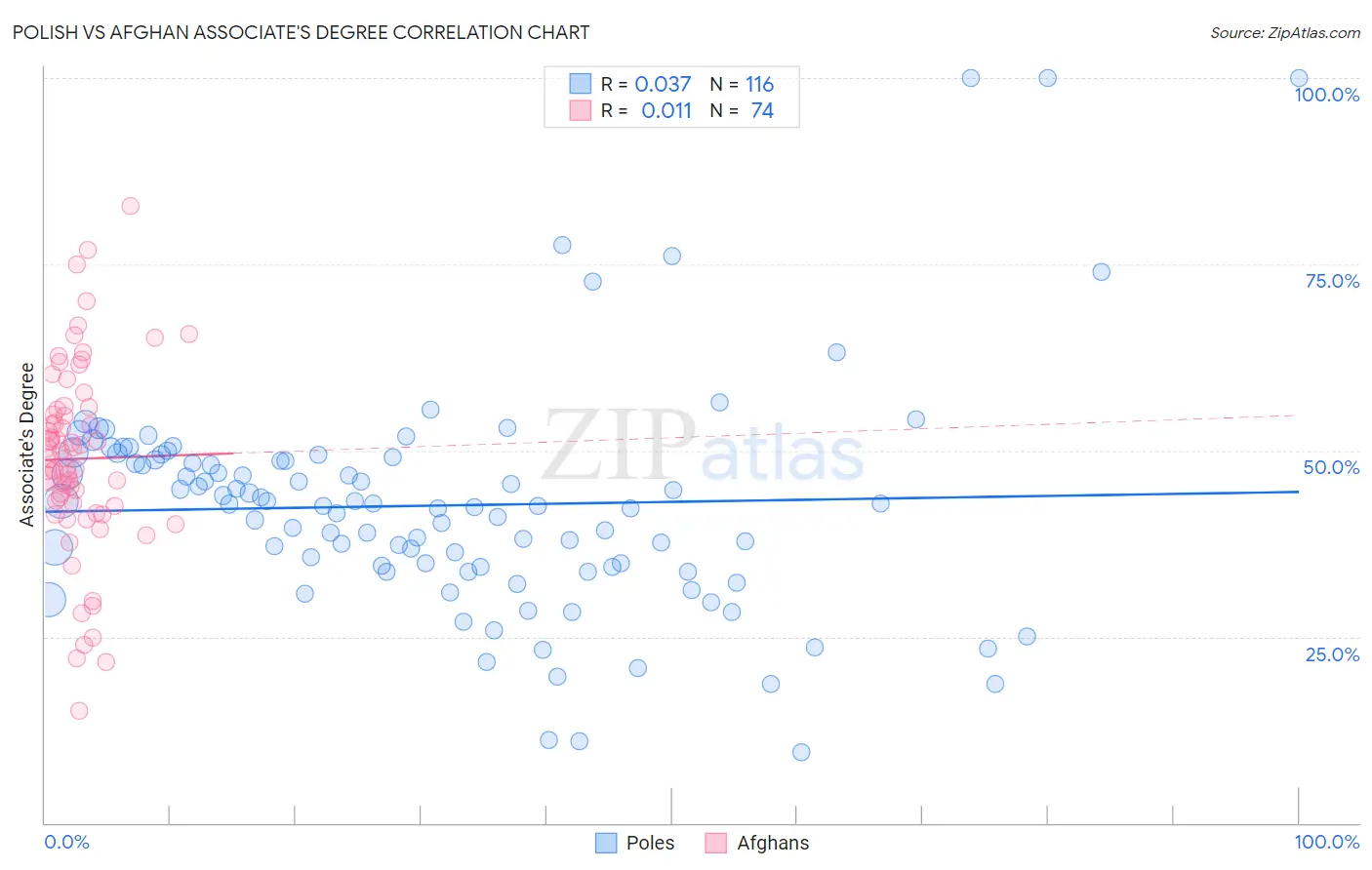 Polish vs Afghan Associate's Degree