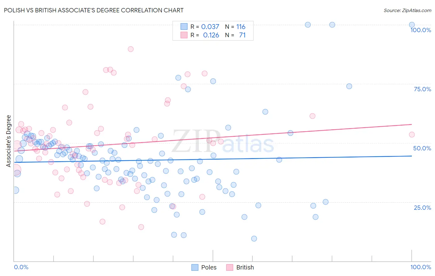 Polish vs British Associate's Degree
