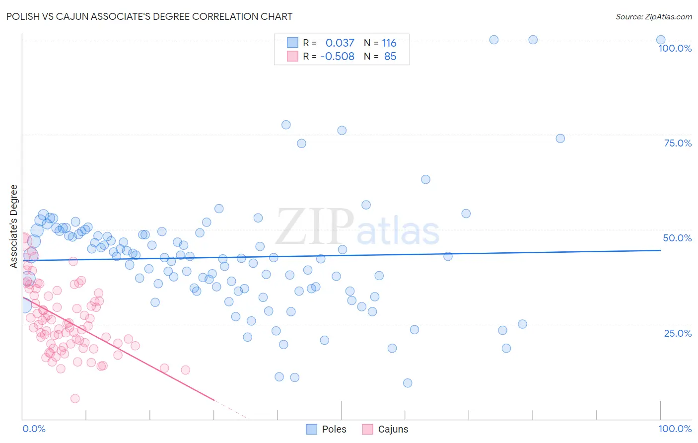 Polish vs Cajun Associate's Degree