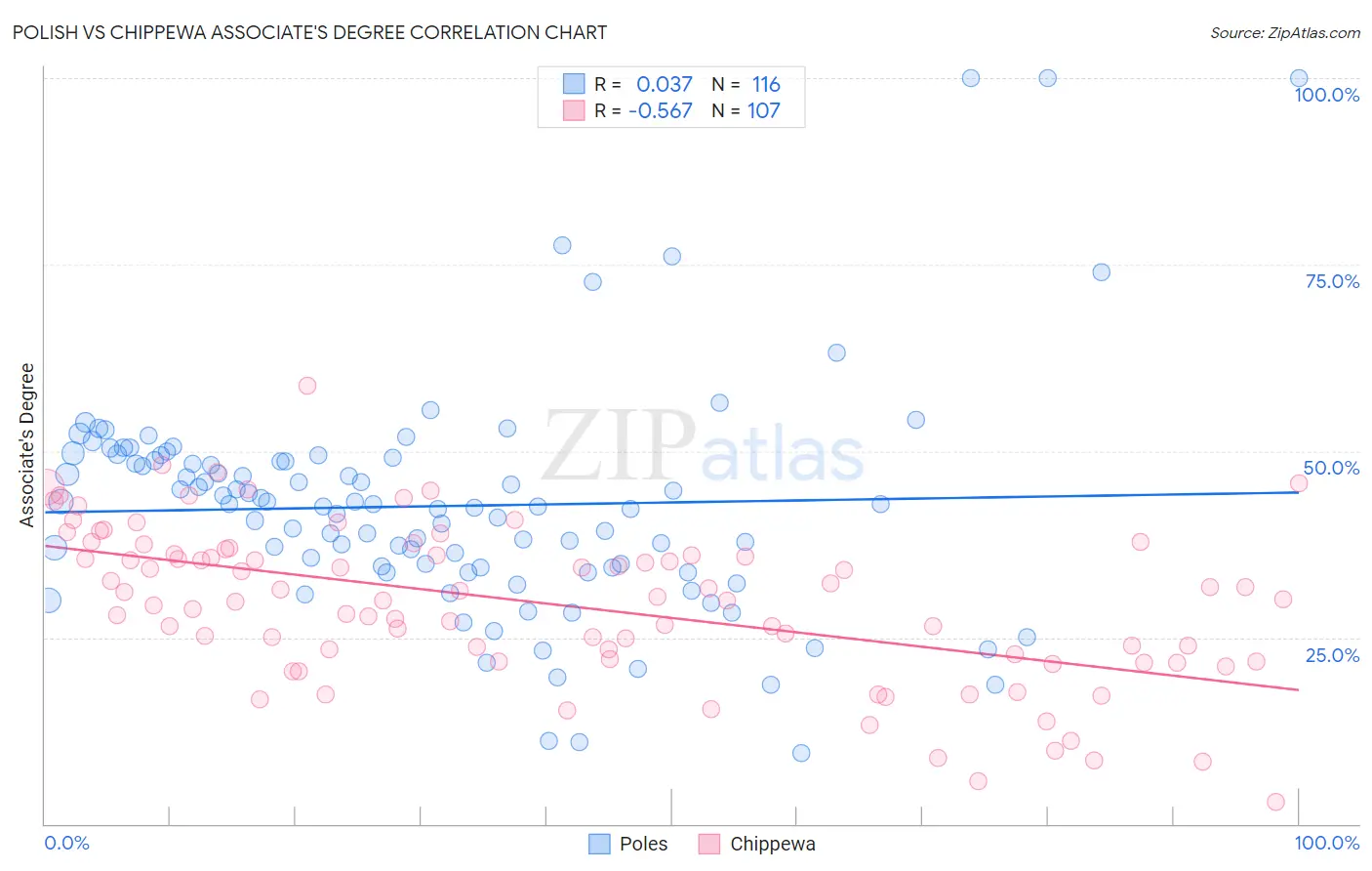 Polish vs Chippewa Associate's Degree