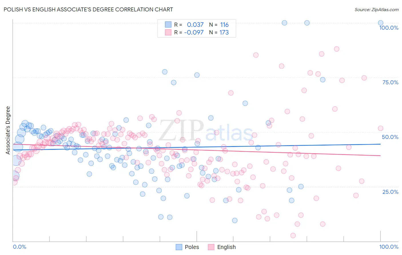 Polish vs English Associate's Degree