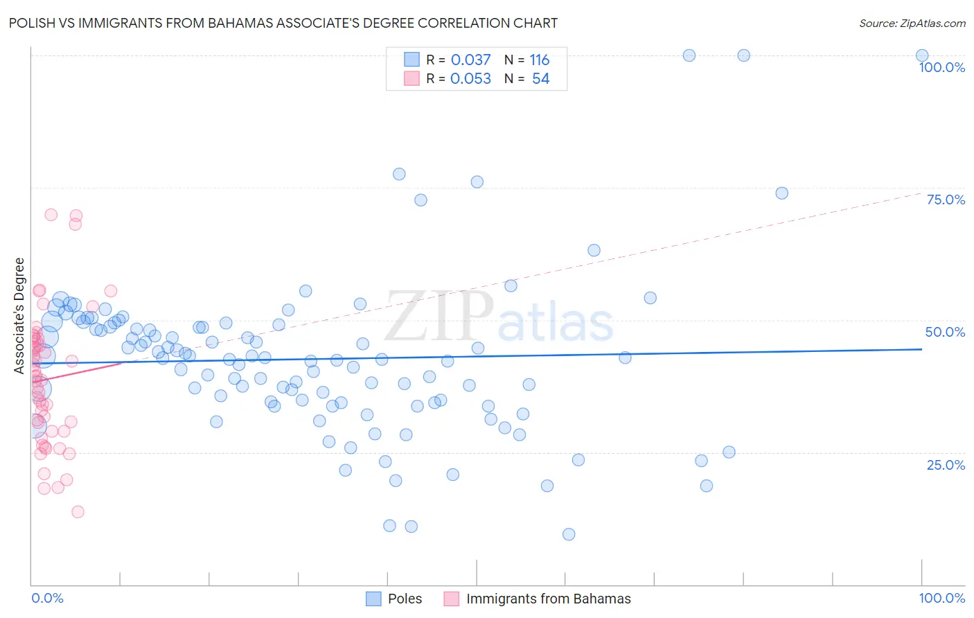 Polish vs Immigrants from Bahamas Associate's Degree